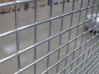 Hot-dipped Galvanized Welded Wire Mesh Fence Panel